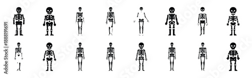 skeleton vector icon set multiple style collection. doctor day silhouette medical symbols for healthcare