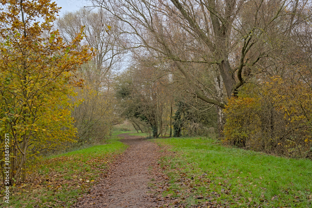 Obraz premium Hiking trail along colorful autumn trees and shrubs in the wetlands of Bourgoyen nature reserve, Ghent, Flanders, Belgium