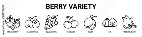 Berry Variety web banner icon vector illustration concept with icon of strawberry, blueberries, blackberry, cherries, plum, fig, and pomegranate.