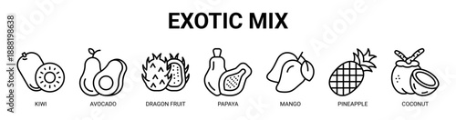 Exotic Mix web banner icon vector illustration concept with icon of kiwi, avocado, dragon fruit, papaya, mango, pineapple, and coconut.