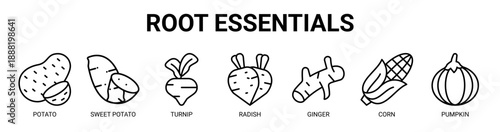 Root Essentials web banner icon vector illustration concept with icon of potato, sweet potato, turnip, radish, ginger, corn, and pumpkin.