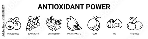 Antioxidant Power web banner icon vector illustration concept with icon of blueberries, blackberry, strawberry, pomegranate, plum, fig, and cherries.