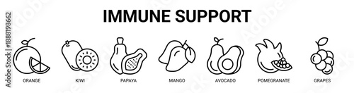 Immune Support web banner icon vector illustration concept with icon of orange, kiwi, papaya, mango, avocado, pomegranate, and grapes.