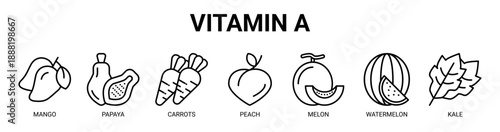 Vitamin A web banner icon vector illustration concept with icon of mango, papaya, carrots, peach, melon, watermelon, and kale.