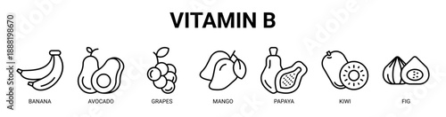 Vitamin B web banner icon vector illustration concept with icon of banana, avocado, grapes, mango, papaya, kiwi, and fig.