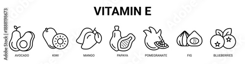 Vitamin E web banner icon vector illustration concept with icon of avocado, kiwi, mango, papaya, pomegranate, fig, and blueberries.