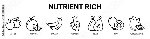 Nutrient Rich web banner icon vector illustration concept with icon of apple, orange, banana, grapes, pear, kiwi, and pomegranate.