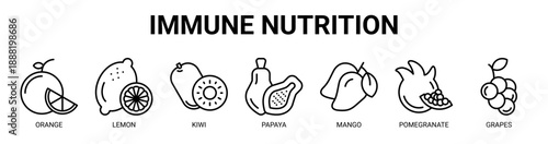 Immune Nutrition web banner icon vector illustration concept with icon of orange, lemon, kiwi, papaya, mango, pomegranate, and grapes.