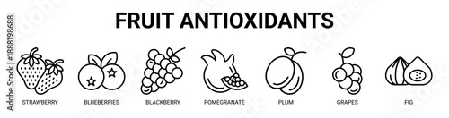 Fruit Antioxidants web banner icon vector illustration concept with icon of strawberry, blueberries, blackberry, pomegranate, plum, grapes, and fig.