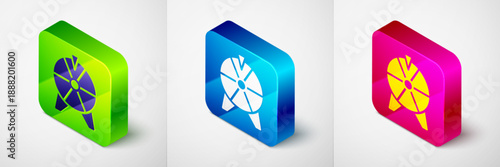 Isometric Lucky wheel icon isolated on grey background. Square button. Vector