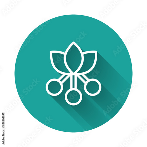 White line Coffee bean, branch with leaf and berry icon isolated with long shadow. Plant with leaf, berry, fruit, seed. Green circle button. Vector