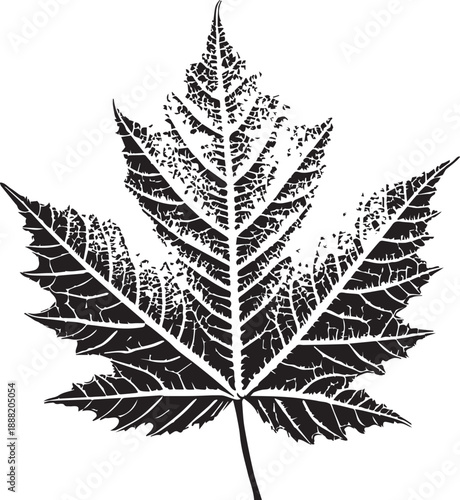 leaf silhouette vector and icon