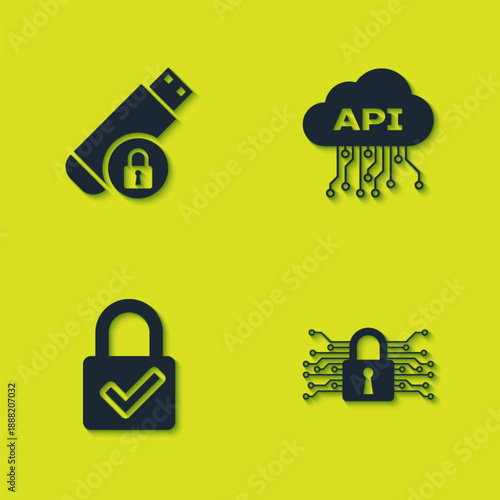 Set USB flash drive with lock, Cyber security, Lock and check mark and Cloud api interface icon. Vector
