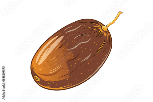 Fresh brown date fruit illustration