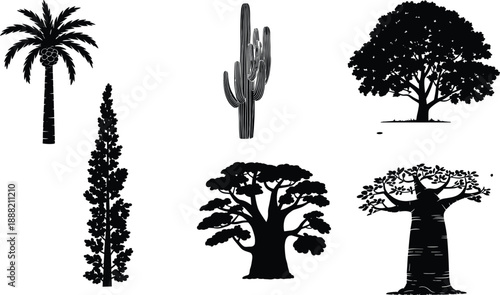 Tree silhouette set, plant and cactus collection, nature vegetation vector illustration, forest botanical shapes, black silhouettes, isolated on white background