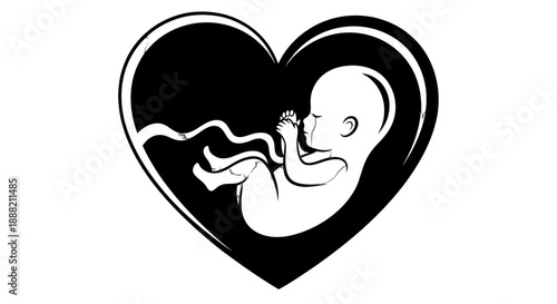 Black and white illustration of a fetus in a heart shape.