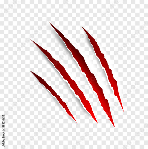 Claws scratches - vector isolated. Claws scratches animal claw tracks cat or tiger bear or lion attack nails scratches. Horror, halloween monster. Vector