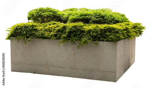 фотографія A planter made of stone holds lush green plants on top