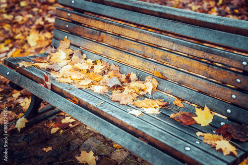 Autumn leaves on wooden park bench in fall season