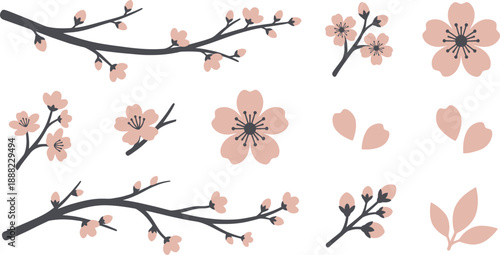 Minimalist cherry blossom botanical elements flat vector pack with soft blush charcoal curved branches sparse blooms twig clusters five-petal blossom floating petals closed buds light green leaf 