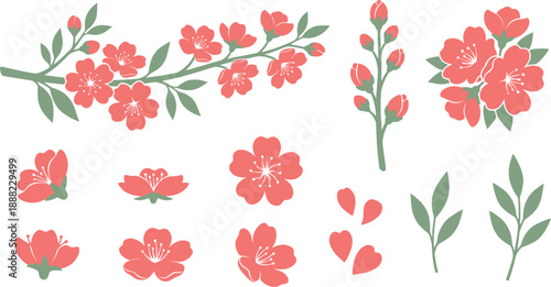 Modern cherry blossom vectors bloom stages flat vector pack with coral pink sage green horizontal flowering branch vertical buds dense flower cluster individual blossoms falling heart-shaped petals 