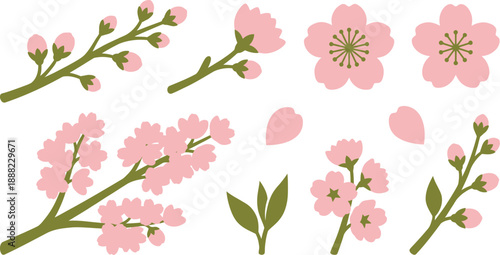 Botanical cherry blossom orchard growth elements flat vector pack with pale pink moss green swelling flower buds half-open blossom full blooms geometric stamens dense clusters single petals young leaf