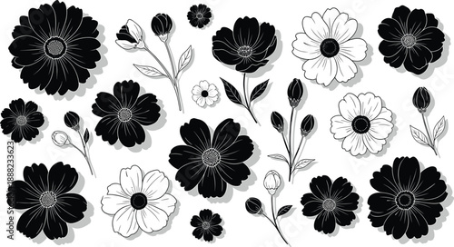 Black and white vector illustration set of diverse blooming flowers and buds with shadows for floral patterns garden nature wedding and spring decorative design