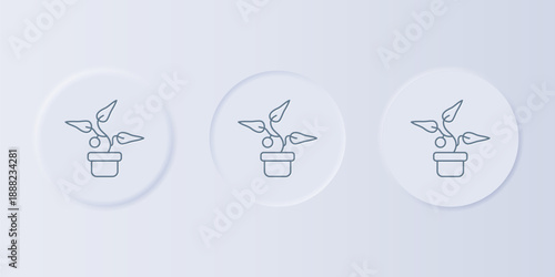 Grey Plant in pot icon isolated on grey background. Plant growing in a pot. Potted plant sign. Set icons in square buttons. Vector