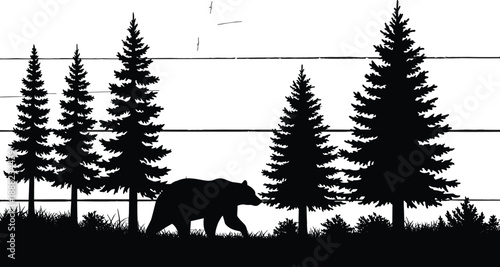 Black vector silhouette of a wild bear walking through a dense pine forest landscape under a morning sky for nature travel and wilderness adventure design