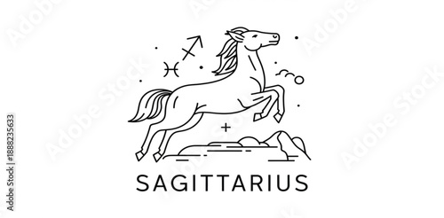 different vector designs 