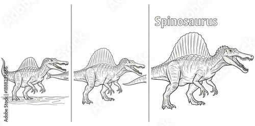 different vector designs 