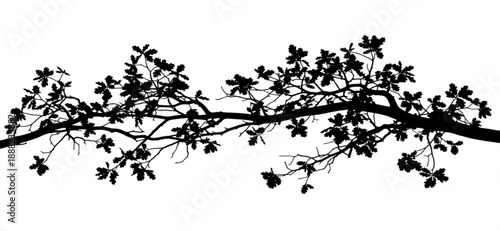 different vector designs 