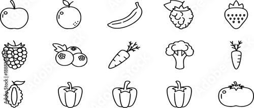 different vector designs 