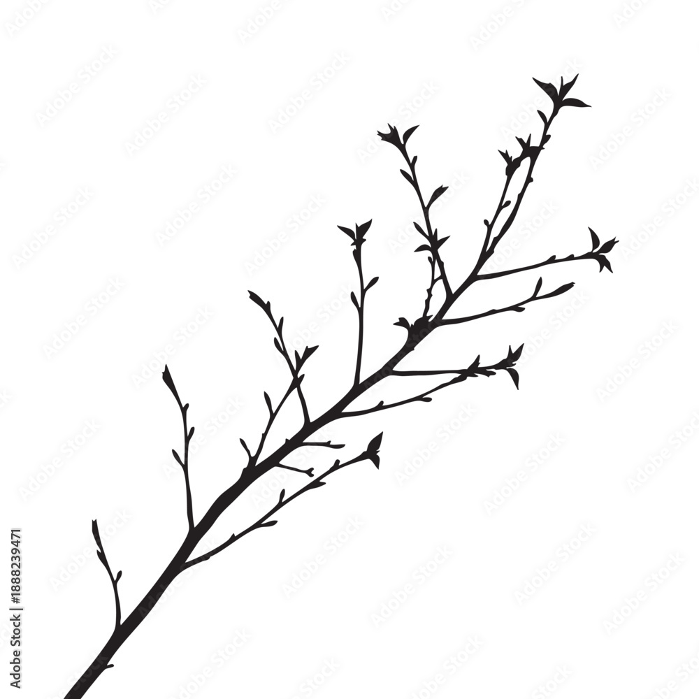 Obraz premium tree branches silhouette
