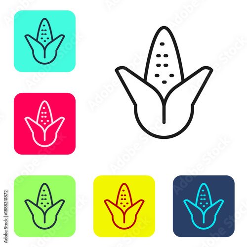 Black line Corn icon isolated on white background. Set icons in color square buttons. Vector