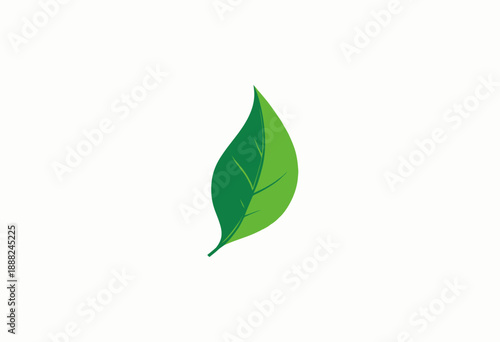 Illustration of a Single Green Leaf with Vibrant Color Gradient on a Clean White Background Symbolizing Nature and Environmental Awareness