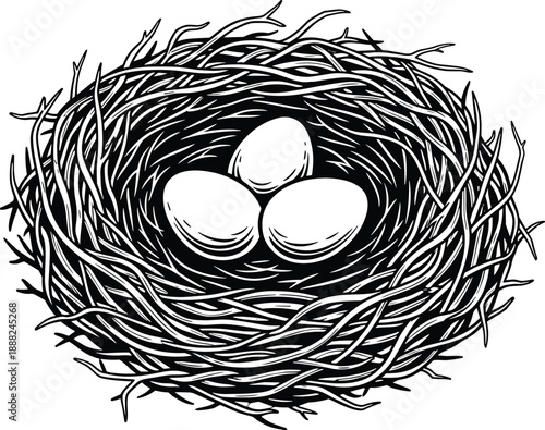 Bird nest with eggs vector illustration, black and white design of woven twigs and oval egg shapes