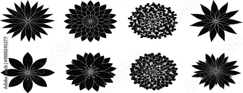 Collection of plant top view silhouettes, vector illustration set of bushes and flowers for landscape architecture, isolated on white background for garden plan.