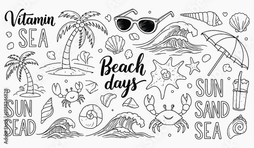 A charming collection of summer doodles palm trees seashells sunglasses and beach elements
