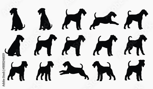 A collection of black silhouette illustrations depicting various poses of a wiry haired terrier dog