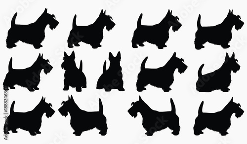 A collection of black silhouette images depicting scottie dogs in various poses and arrangements