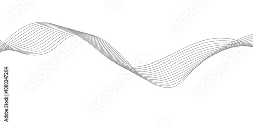 Abstract wave background featuring black and white satin ribbon curves in a digital vector illustration design with motion lines and a flowing texture concept