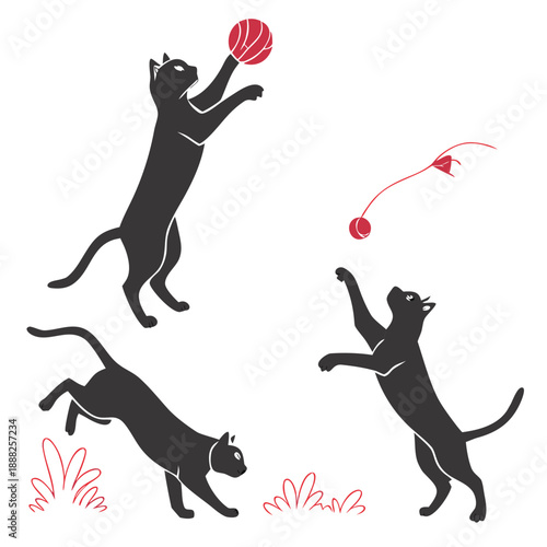 A playful sequence depicts a grey cat interacting with a red ball and string toy