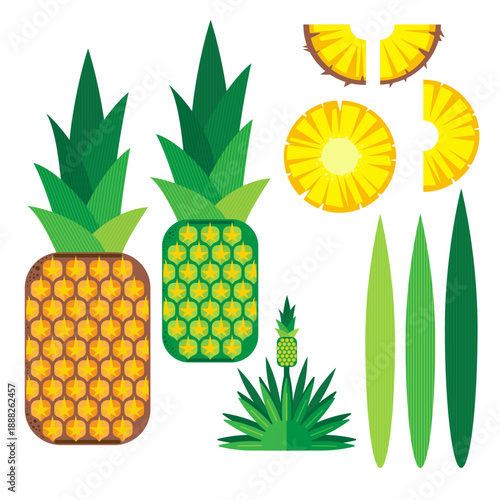 Pineapple and slices