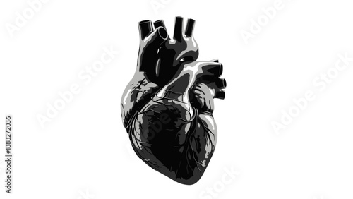 Visually striking black human heart illustration, meticulously showcasing the complex anatomical structure and symbolic significance of this vital organ, representing life, health, and human emotion