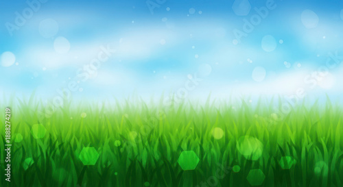 Fresh green wheat field under blue sky with soft sunlight glow