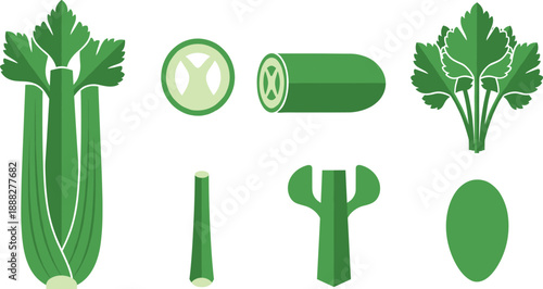 Celery Vegetable Icon Set with Stalk, Slice and Leaf Flat Vector Illustration
