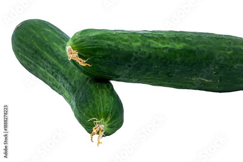 Ripe long cucumbers with textured skin. Isolated object for healthy eating, vegetarianism, cooking, and fresh vegetables themes