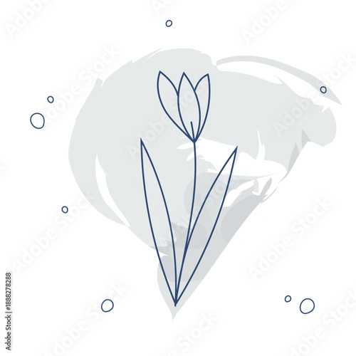 Elegant botanical line art illustration of a tulip. Modern organic element with a soft watercolor splash for eco-branding, packaging design, and spring decor