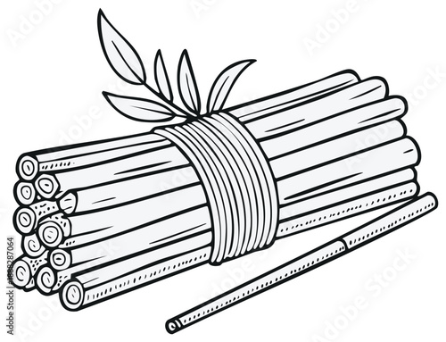 Bunch of cinnamon sticks tied with string and a single stick on a white background illustration